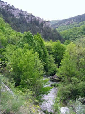 Crimean Canyon