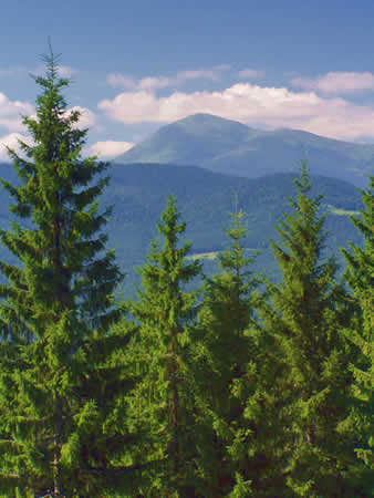 Petros peak - chornohora ridge