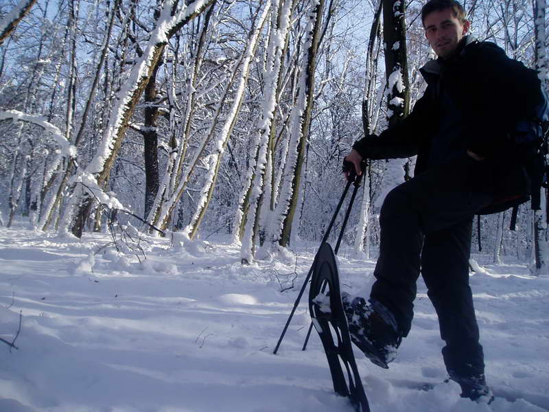 в Голосеевском лесу на снегоступах