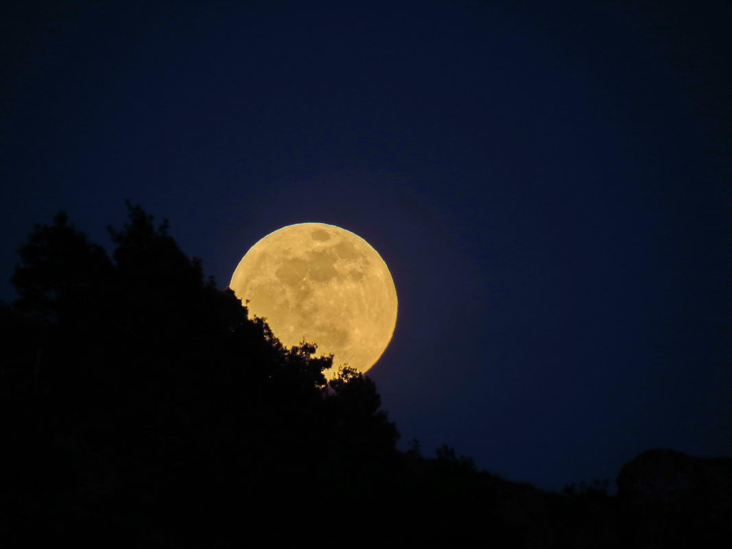 Полная Луна (фото Сергея Назарова)