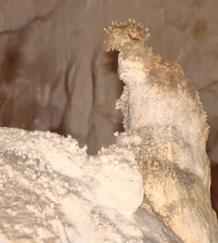 пещера - лягушка царевна