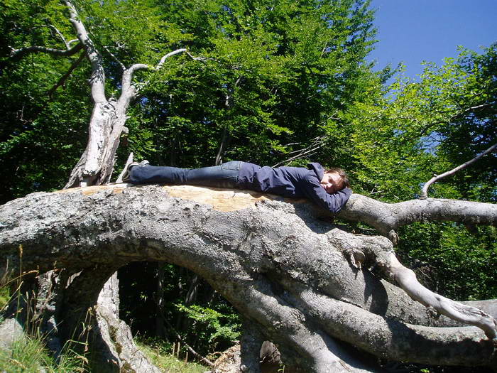 А это я изображаю Багиру на дереве