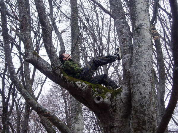 Отдых на дереве