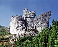 Carpathian Rocks