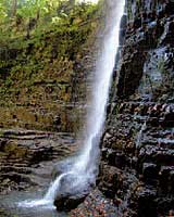 Carpathian Waterfall